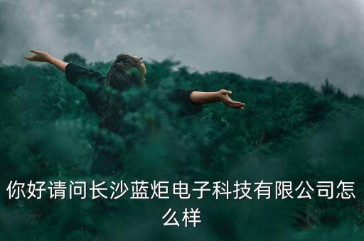 你好請(qǐng)問長(zhǎng)沙藍(lán)炬電子科技有限公司怎么樣