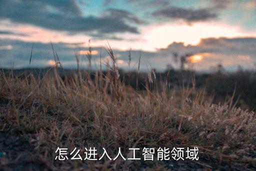 怎么進(jìn)入人工智能領(lǐng)域
