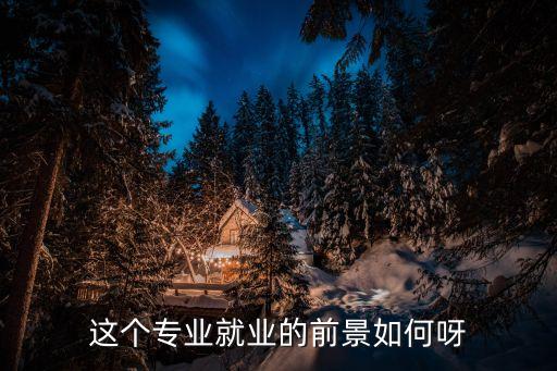 這個(gè)專業(yè)就業(yè)的前景如何呀
