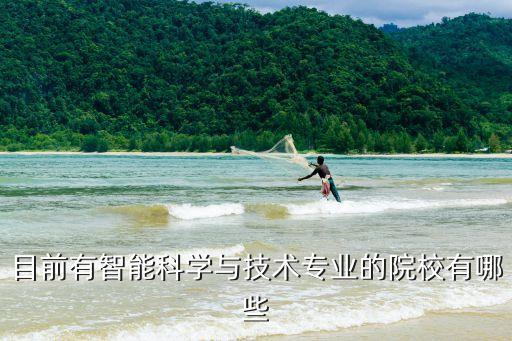智能科技有哪些學(xué)校，開(kāi)設(shè)智能科學(xué)與技術(shù)的學(xué)校有哪些