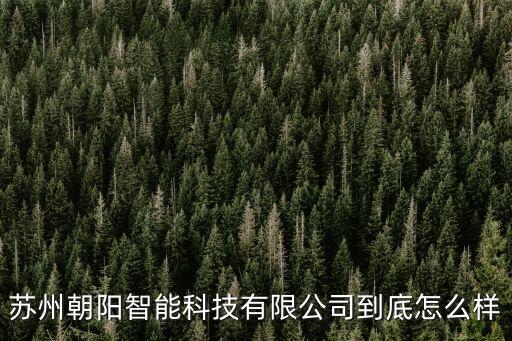 蘇州朝陽智能科技有限公司到底怎么樣