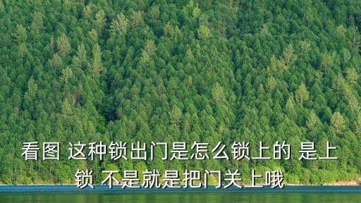 看圖 這種鎖出門是怎么鎖上的 是上鎖 不是就是把門關(guān)上哦