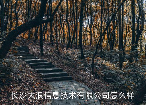長(zhǎng)沙大浪信息技術(shù)有限公司怎么樣