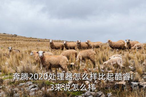 奔騰2020處理器怎么樣比起酷睿i3來說怎么樣