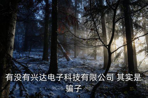 興達智能科技怎么樣，深圳市興達微電子科技公司怎么樣
