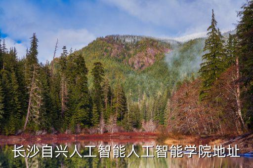 長沙自興人工智能人工智能學(xué)院地址