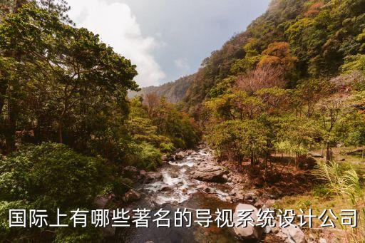 國際上有哪些著名的導(dǎo)視系統(tǒng)設(shè)計公司