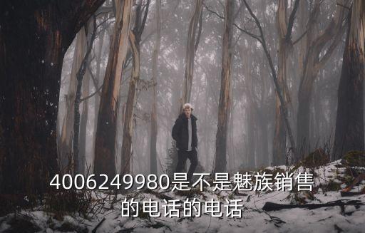 4006249980是不是魅族銷售的電話的電話