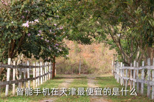 天津智能科技基金有哪些，天津市高等學(xué)?？萍及l(fā)展基金計劃項目的英文怎么翻