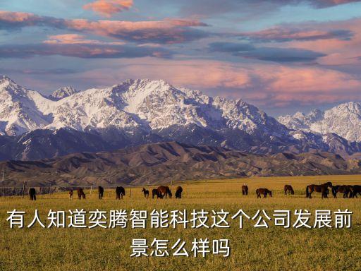 有人知道奕騰智能科技這個公司發(fā)展前景怎么樣嗎