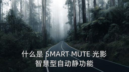什么是 SMART MUTE 光影智慧型自動靜功能