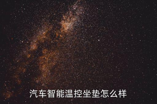汽車智能溫控坐墊怎么樣