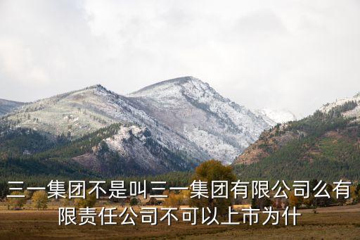 三一集團不是叫三一集團有限公司么有限責(zé)任公司不可以上市為什