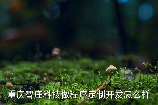 重慶智莊科技做程序定制開(kāi)發(fā)怎么樣