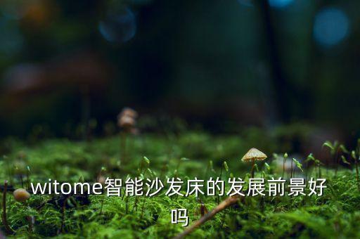witome智能沙發(fā)床的發(fā)展前景好嗎