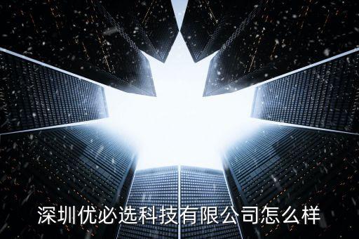 深圳優(yōu)必選科技有限公司怎么樣