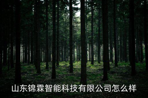 山東錦霖智能科技有限公司怎么樣