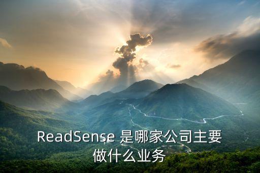 ReadSense 是哪家公司主要做什么業(yè)務(wù)