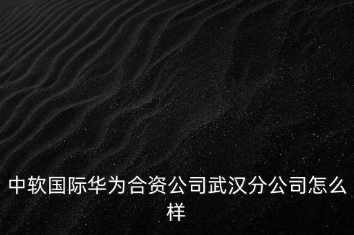 中軟國際華為合資公司武漢分公司怎么樣