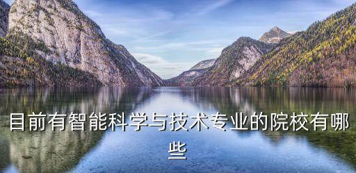 目前有智能科學與技術專業(yè)的院校有哪些