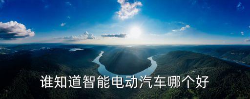 科技智能車哪個系列好，誰知道智能電動汽車哪個好