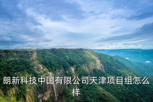 朗新科技中國(guó)有限公司天津項(xiàng)目組怎么樣