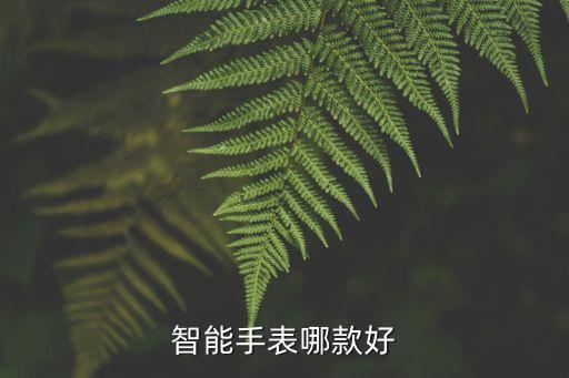 智能手表哪款好