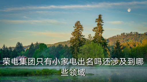 榮電集團(tuán)只有小家電出名嗎還涉及到哪些領(lǐng)域