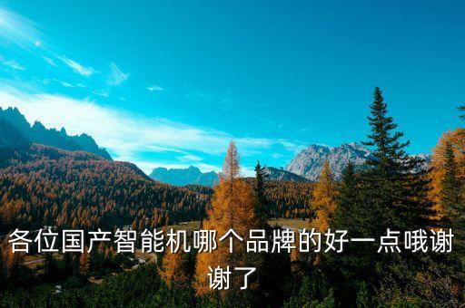 各位國產(chǎn)智能機(jī)哪個品牌的好一點(diǎn)哦謝謝了