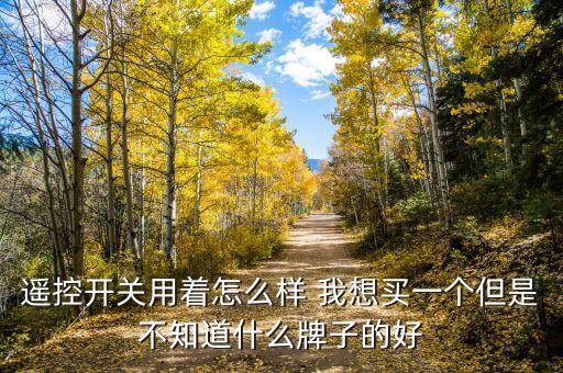 遙控開關(guān)用著怎么樣 我想買一個(gè)但是不知道什么牌子的好