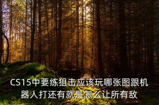 CS15中要練狙擊應(yīng)該玩哪張圖跟機(jī)器人打還有就是怎么讓所有敵