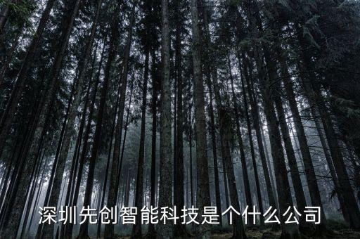 隱創(chuàng)智能科技是什么，上海隱譽(yù)電子科技有限公司是正規(guī)公司嗎