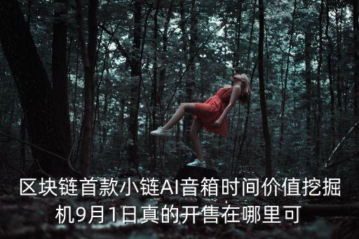 區(qū)塊鏈首款小鏈AI音箱時間價值挖掘機9月1日真的開售在哪里可