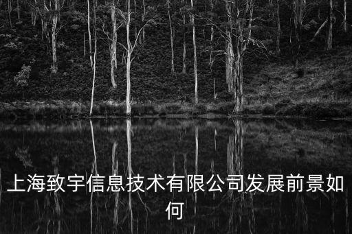 上海致宇信息技術(shù)有限公司發(fā)展前景如何