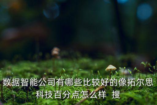 數(shù)據(jù)智能公司有哪些比較好的像拓爾思科技百分點怎么樣  搜