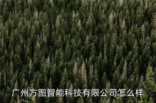 廣州方圖智能科技有限公司怎么樣