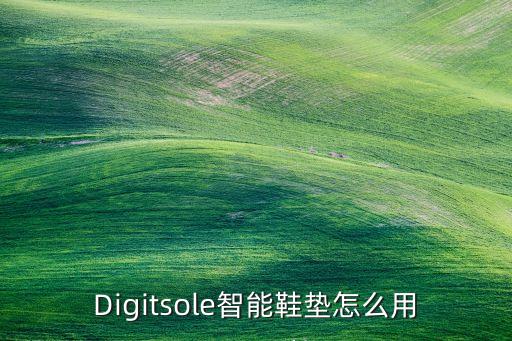 Digitsole智能鞋墊怎么用