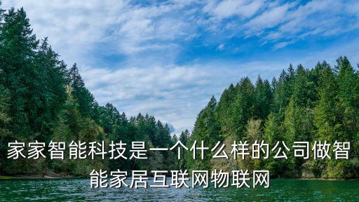 杭州居家智能科技怎么樣，家家智能科技是一個什么樣的公司做智能家居互聯(lián)網(wǎng)物聯(lián)網(wǎng)