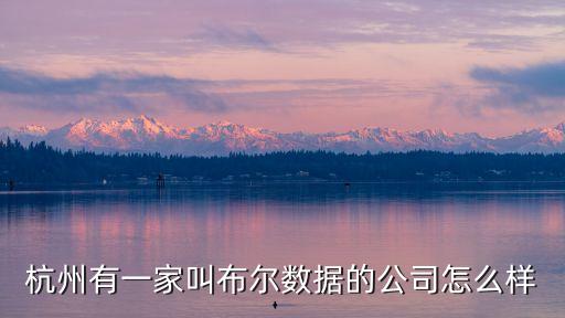 杭州有一家叫布爾數(shù)據(jù)的公司怎么樣