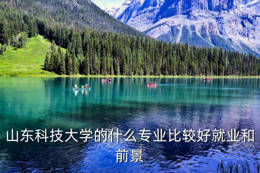 山東科技大學(xué)的什么專業(yè)比較好就業(yè)和前景