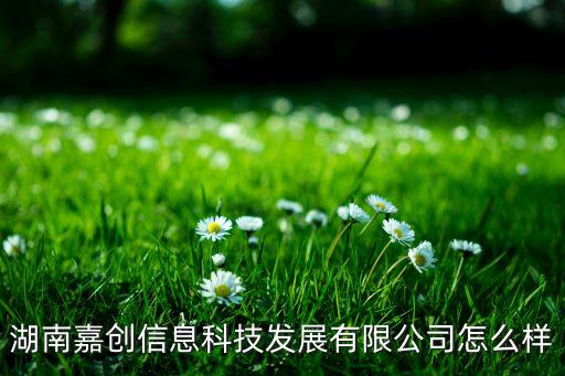 湖南嘉創(chuàng)信息科技發(fā)展有限公司怎么樣