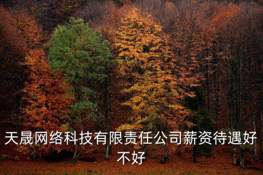 天晟網(wǎng)絡(luò)科技有限責(zé)任公司薪資待遇好不好