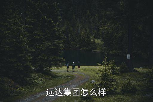 遠達智能科技怎么樣，武漢遠達科技有限公司怎么樣啊