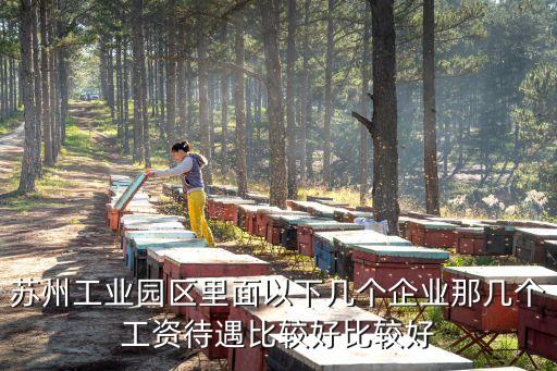 蘇州工業(yè)園區(qū)里面以下幾個企業(yè)那幾個工資待遇比較好比較好