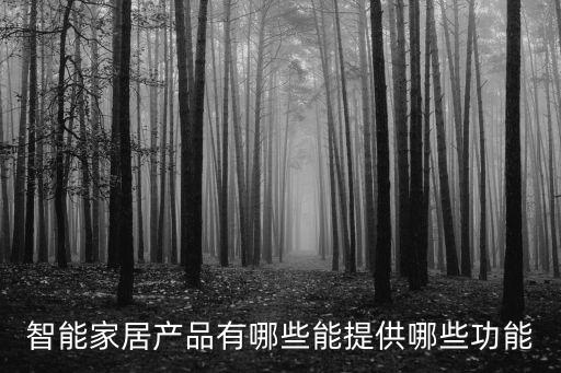 智能家居產(chǎn)品有哪些能提供哪些功能