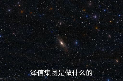 澤信集團是做什么的