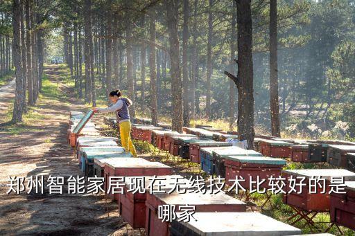 鄭州智能家居現(xiàn)在無線技術(shù)比較好的是哪家