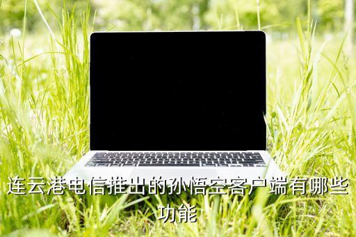連云港電信推出的孫悟空客戶端有哪些功能