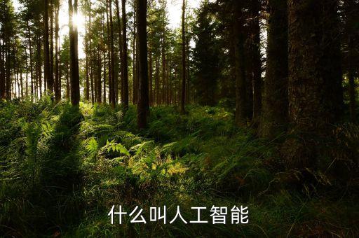 什么叫人工智能