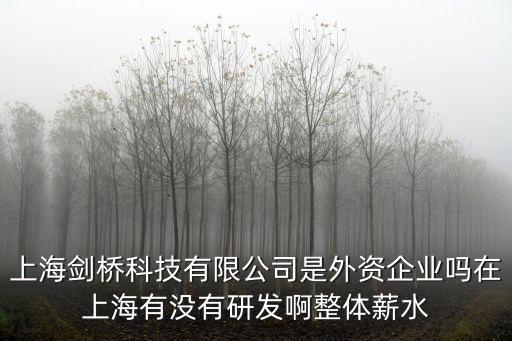 上海劍橋科技有限公司是外資企業(yè)嗎在上海有沒有研發(fā)啊整體薪水